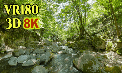 A huge Katsura tree next to a clear stream of Nippara River at Ganiswa in Oku-tama,Tokyo,Japan VR Video A huge Katsura tree next to a clear stream of Nippara River at Ganiswa in Oku-tama,Tokyo,Japan VR