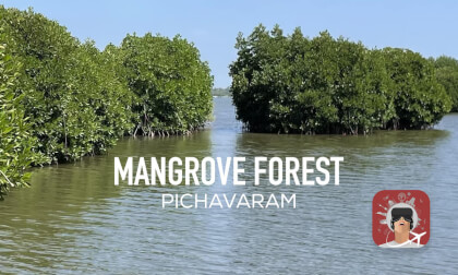 2nd largest Mangrove Forest in India 2nd largest Mangrove Forest in India