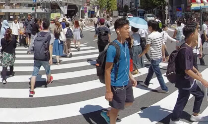 Insta360 Pro2 (8K 3D) Tokyo Day and Night 東京: 昼と夜 MOVIE SAMPLE VR Video Insta360 Pro2 (8K 3D) Tokyo Day and Night 東京: 昼と夜 MOVIE SAMPLE VR