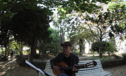 El Cansautor Alopécico "La canción de los gallos"