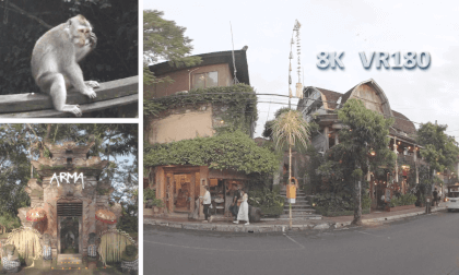 Ubud, Bali, Indonesia - Part 1: Monkey Forest and ARMA VR Video Ubud, Bali, Indonesia - Part 1: Monkey Forest and ARMA VR