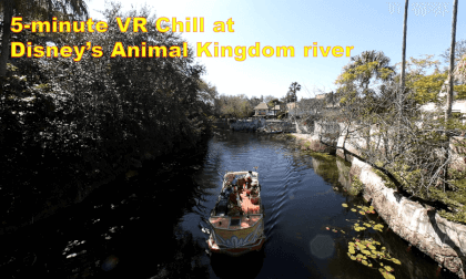 Disney in VR : 5-min relax at Animal Kingdom near Harambe Village VR Video Disney in VR : 5-min relax at Animal Kingdom near Harambe Village VR