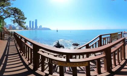 VID_20240509_093018_00_001___ VR Video VID_20240509_093018_00_001___ VR