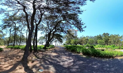 VID_20240509_104244_00_003(1)_2 VR Video VID_20240509_104244_00_003(1)_2 VR