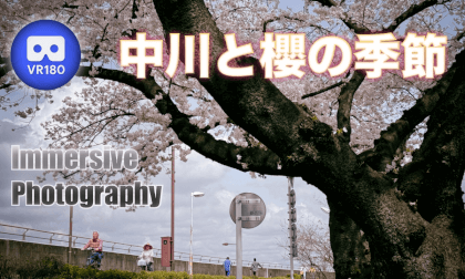 Nakagawa Riv. and Sakura Season Nakagawa Riv. and Sakura Season