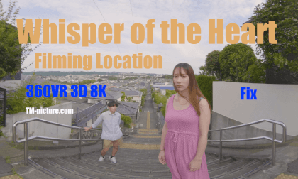 Whisper of the Heart Whisper of the Heart