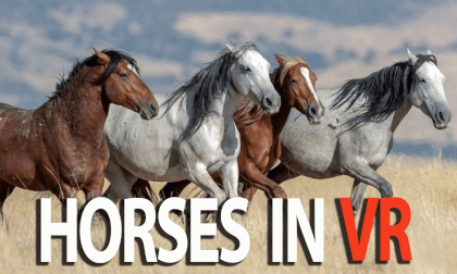 Watch horses running in VR Virtual reality Watch horses running in VR Virtual reality
