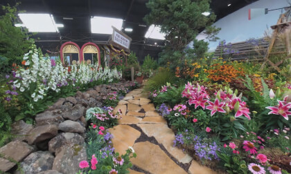 Sonoma County Fair 2019 VR Video Sonoma County Fair 2019 VR