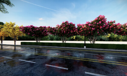 Video 05 VR Video Video 05 VR