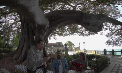 Carnaval de Cádiz. Chirigota Los Carreros de la Alianza VR Video Carnaval de Cádiz. Chirigota Los Carreros de la Alianza VR