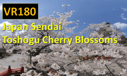 Japan Sendai Toshogu Cherr Blossoms VR Video Japan Sendai Toshogu Cherr Blossoms VR