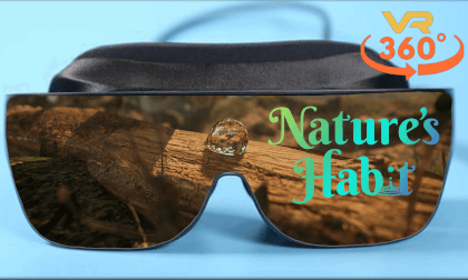 Nature's Habit 360° VR Video Nature's Habit 360° VR