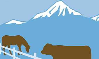 Cattle Branding in Montana part 2 VR Video Cattle Branding in Montana part 2 VR