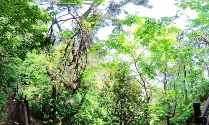 VID_20240510_111121_00_007_2 VR Video VID_20240510_111121_00_007_2 VR