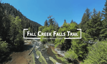 🌲 Explore the Majestic Fall Creek Falls in Breathtaking VR 360°! 🌲