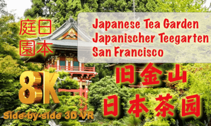 8K 360°VR Japanese Tea Garden日本の茶園 -サンフランシスコ Japanischer Teegarten San Francisco 8K 360°VR Japanese Tea Garden日本の茶園 -サンフランシスコ Japanischer Teegarten San Francisco