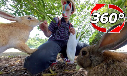 [360 Video] At first, even if you are reluctant, it will gradually approach you.