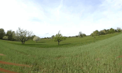 FPV drone flight around flowering trees VR Video FPV drone flight around flowering trees VR