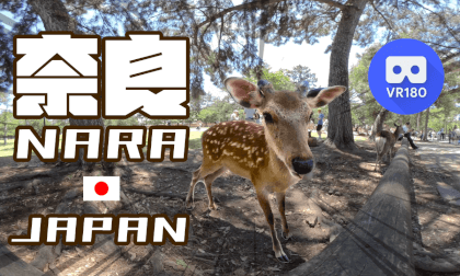 NARA JAPAN 奈良公園から法隆寺まで VR Video NARA JAPAN 奈良公園から法隆寺まで VR