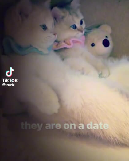 v12044gd0000cpg5l5nog65g9uej6l1g v12044gd0000cpg5l5nog65g9uej6l1g