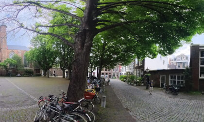 Leiden front of Pieters Church 2024 VR360 VR Video Leiden front of Pieters Church 2024 VR360 VR