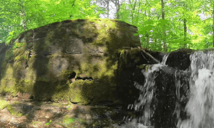 Potok Jadwiżanka Lądek-Zdrój, Sudety, Polska VR Video Potok Jadwiżanka Lądek-Zdrój, Sudety, Polska VR