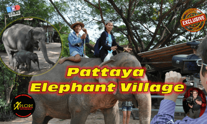 Pattaya Elephant Village 3D Pattaya Elephant Village 3D