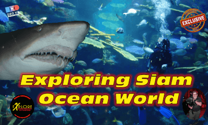 Exploring Siam Ocean World Exploring Siam Ocean World