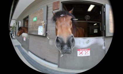 uma.vr.MP4 VR Video uma.vr.MP4 VR