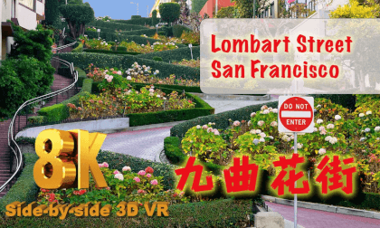 [FREE]Lombard Street San Francisco 旧金山九曲花街8K 3D VR