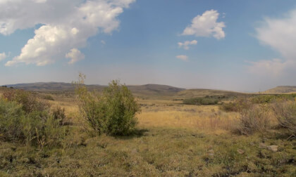 Nature ASMR Wind in the willows VR Video Nature ASMR Wind in the willows VR