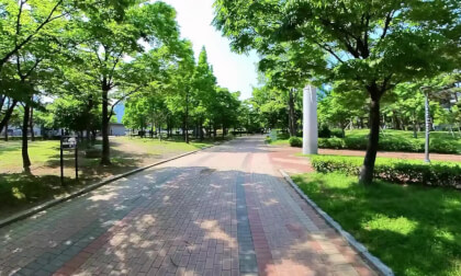 VID_20240509_150818_00_005 무한루프 VR Video VID_20240509_150818_00_005 무한루프 VR