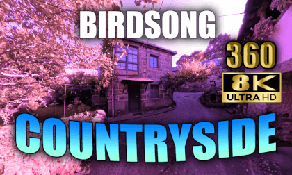 🦜 BIRDSONG COUNTRYSIDE 🦜 Exploration of a Village Reclaimed by Nature in 8K 🦜 BIRDSONG COUNTRYSIDE 🦜 Exploration of a Village Reclaimed by Nature in 8K