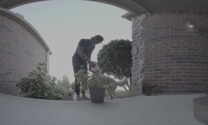 randerball 1 VR Video randerball 1 VR