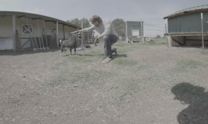 dusty_test_1 VR Video dusty_test_1 VR