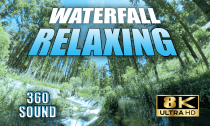 🏞️  RELAX BY THE RIVER 🏞️ Nature Therapy with Immersive Audio