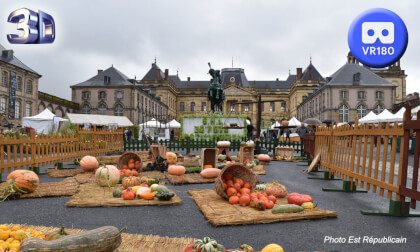 Pumpkin Festival at Luneville Castle 180 VR 3D 2022 VR Video Pumpkin Festival at Luneville Castle 180 VR 3D 2022 VR