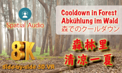 Spatial ASMR: Cooldown in Forest with breeze and Bird Chirp 在森林里清凉一夏 Ambisonic sound 8K 3D Spatial ASMR: Cooldown in Forest with breeze and Bird Chirp 在森林里清凉一夏 Ambisonic sound 8K 3D