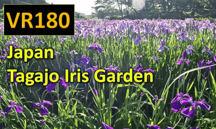 Japan Tagajo Iris Garden (Taga Castle ruins built in 724) VR Video Japan Tagajo Iris Garden (Taga Castle ruins built in 724) VR