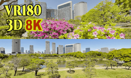Hama-rikyu Gardens,Japanese Garden Park in Tokyo,Japan