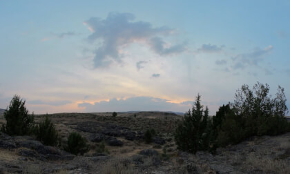 Nature ASMR Wind in the junipers VR Video Nature ASMR Wind in the junipers VR