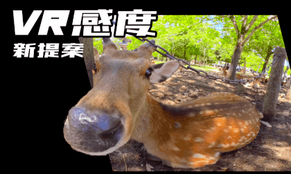 VR Sense footage VR感度動画という新提案! 鹿が迫ってくる感じ VR Video VR Sense footage VR感度動画という新提案! 鹿が迫ってくる感じ VR