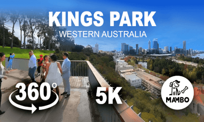 Exploring Kings Park: A Scenic Walking Tour in Perth Exploring Kings Park: A Scenic Walking Tour in Perth