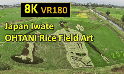 Japan Iwate OHTANI Rice Field Art VR Video Japan Iwate OHTANI Rice Field Art VR