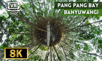 Pangpang Bay, Banyuwangi, Indonesia VR Video Pangpang Bay, Banyuwangi, Indonesia VR