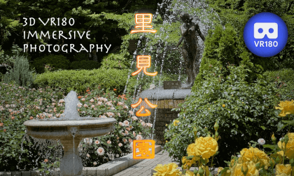 Satomi Park Satomi Park