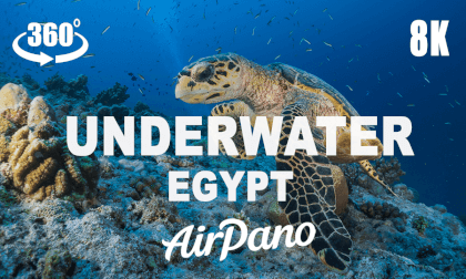 Underwater Life, Marsa Alam, Egypt. 360 video in 8K. Underwater Life, Marsa Alam, Egypt. 360 video in 8K.