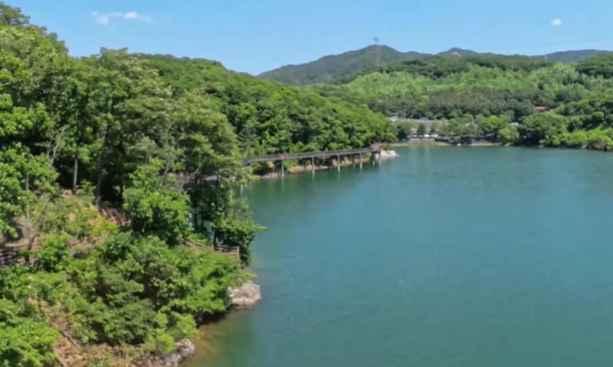 healing trip Majang Lake 3D 8K 360 VR
