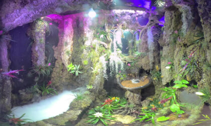 Imperial Hotel Wonderland 3 - Escapism VR Video Imperial Hotel Wonderland 3 - Escapism VR