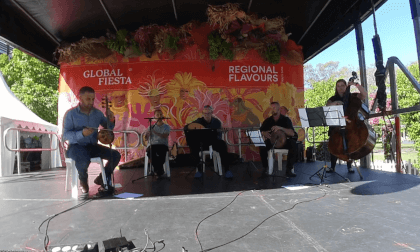 Global fiesta shanashell Global fiesta shanashell